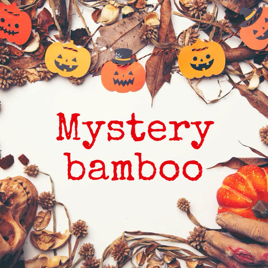 Mystery bamboo (2 pieces of bamboo) RTS NO DISCOUNT CODES